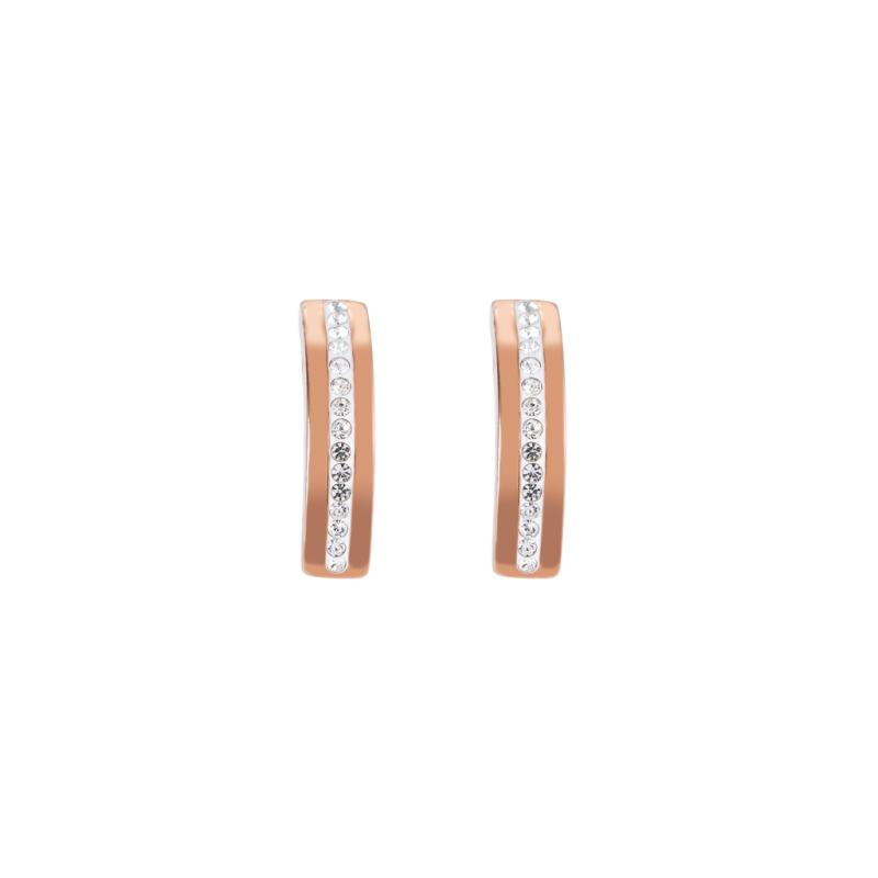 Boucles d'oreilles Coeur de Lion Acier et Cristal