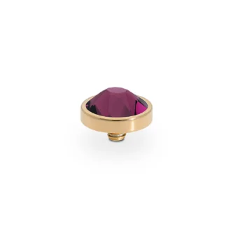 Tops Qudo Canino 9 mm Acier Gold Cristal - Amethyst