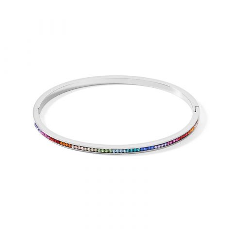 Bracelet rigide multicolore acier 0129/33-1517