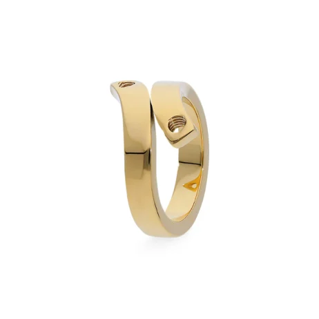 Bagues Qudo Due Acier Gold