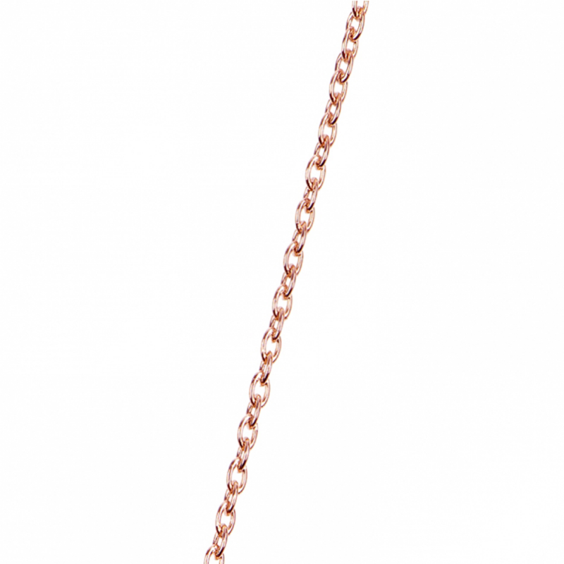 Chaine Maille Forçat Les Georgettes Finition Dorée Rose 45cm