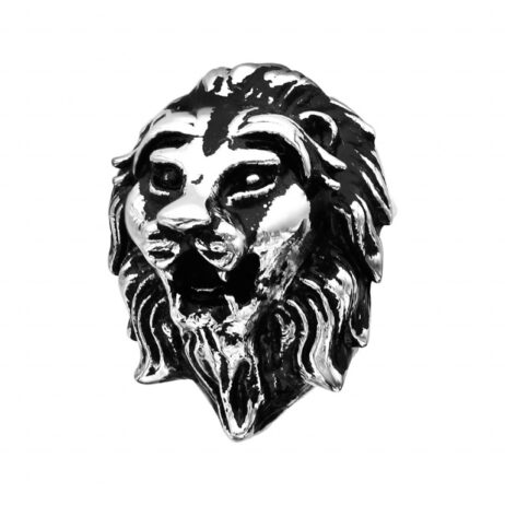 Charms Thabora Homme Acier Tête de Lion