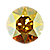 Metallic Sunshine