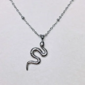Collier Fashion Steel Acier Silver Serpent
