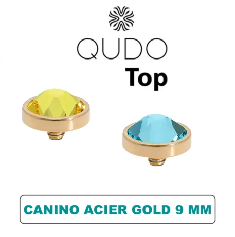 Tops Qudo Canino 9 mm Acier Gold Cristal