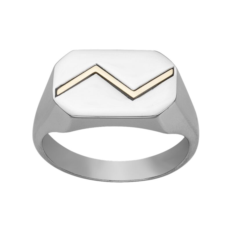 Bague Homme Chevalière Acier Bicolore