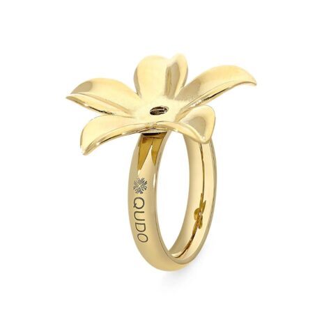 Bagues Qudo Pescia Acier Gold