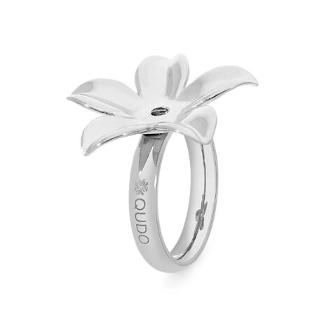 Bagues Qudo Pescia Acier Silver