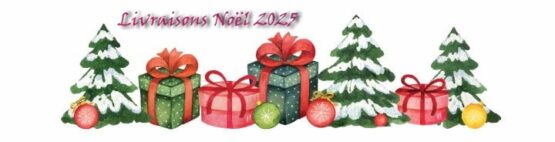 Infos Livraisons Noël 2025